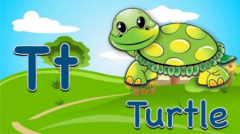 turtle